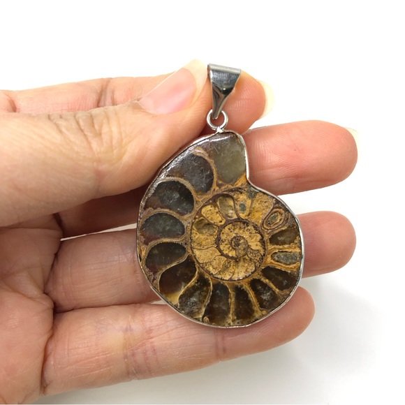 Natural Ammonite Fossil Pendant Charm for Your Own Necklace Choker 1.5" x 1.3" - Picture 2 of 4